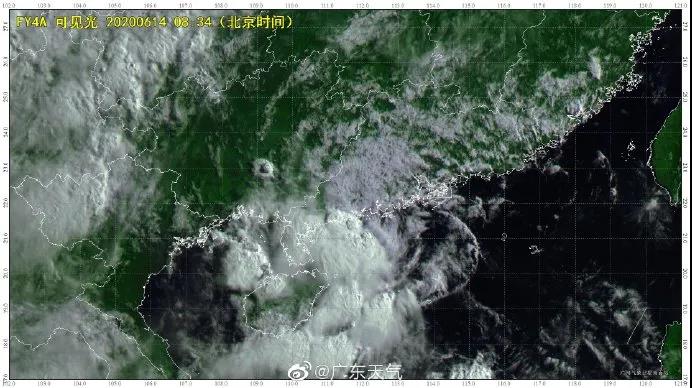 良種良法\臺(tái)風(fēng)來(lái)了，你的牛大力種植場(chǎng)準(zhǔn)備好了嗎？
